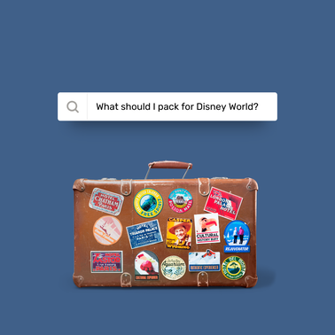 Disney World packing essentials