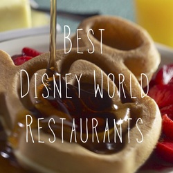 Best Disney World Restaurants